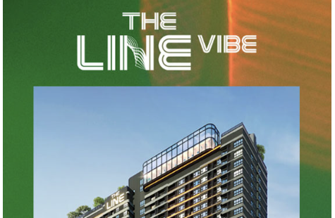 The Line Vibe